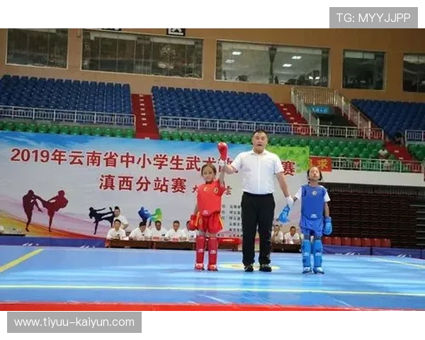 武术散打实战技巧全面解析与训练方法系统指南