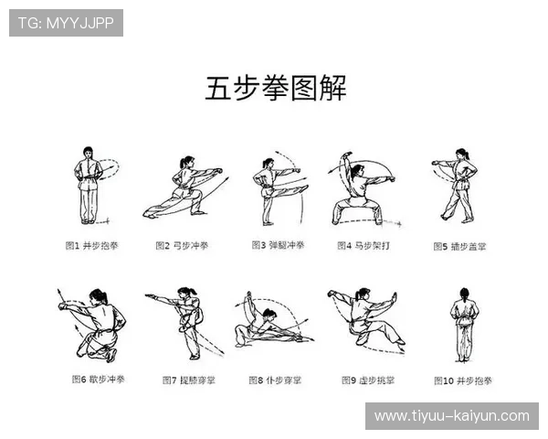 探寻中国传统武术的精髓与文化传承：从拳法到哲学的深度解读