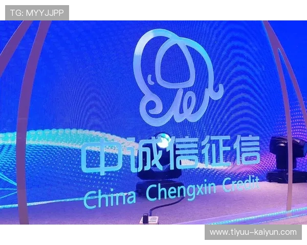 个人征信系统全面升级助力信用管理与风险防控优化